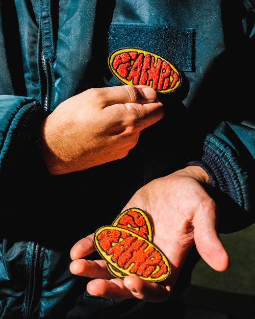 "Bean" Chenille Patch