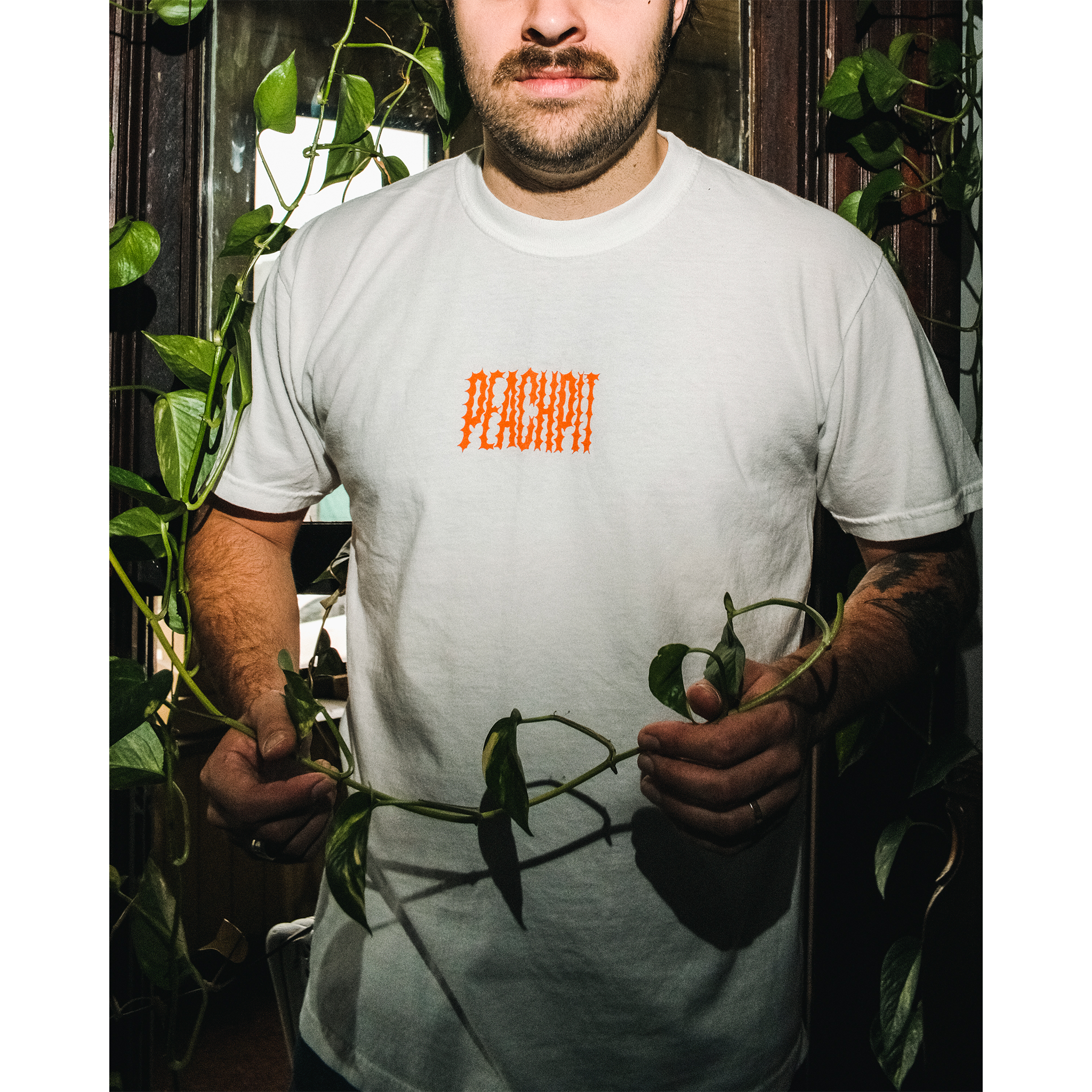 Expansion Pack Bundle