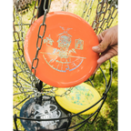 Disc Golf Set