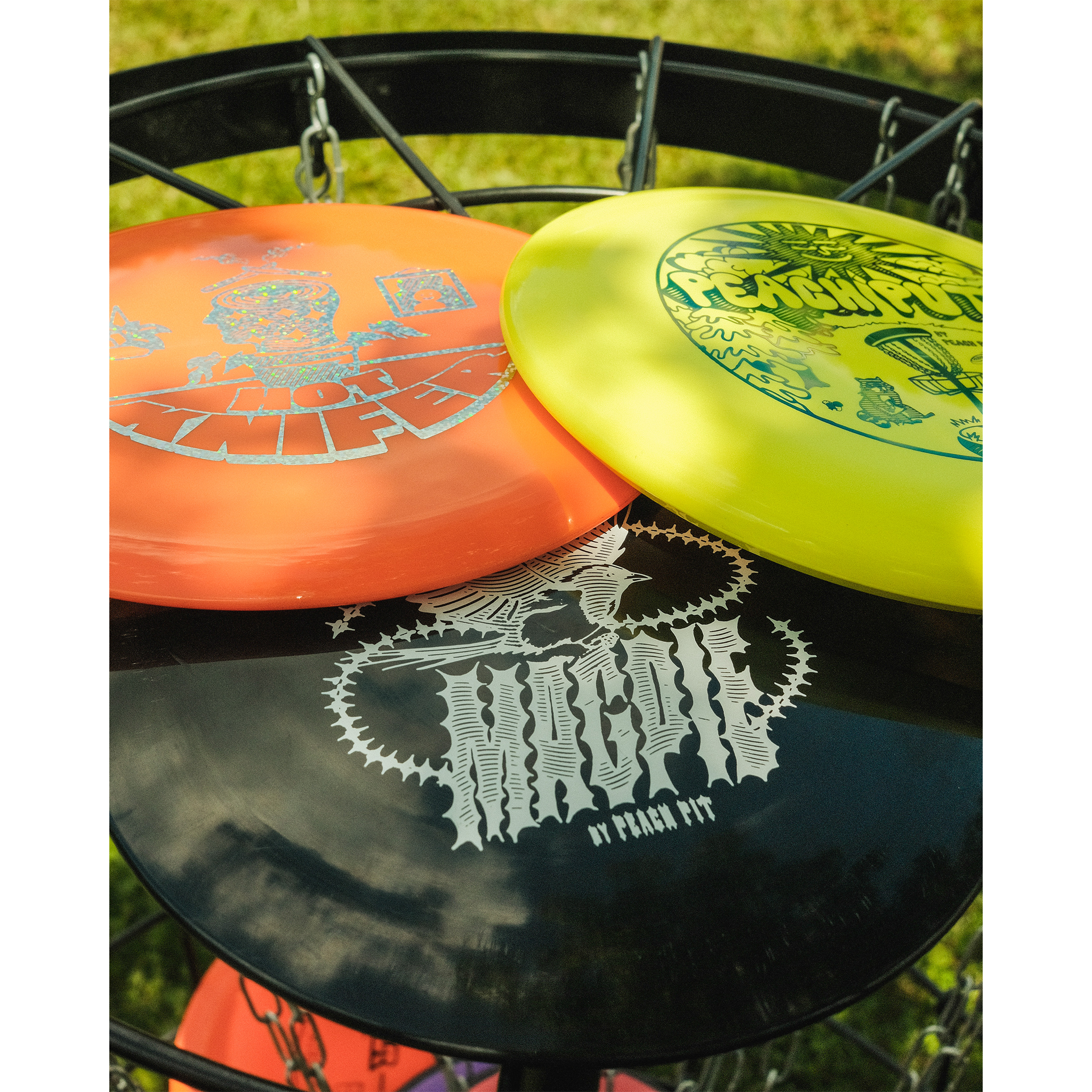 Disc Golf Set